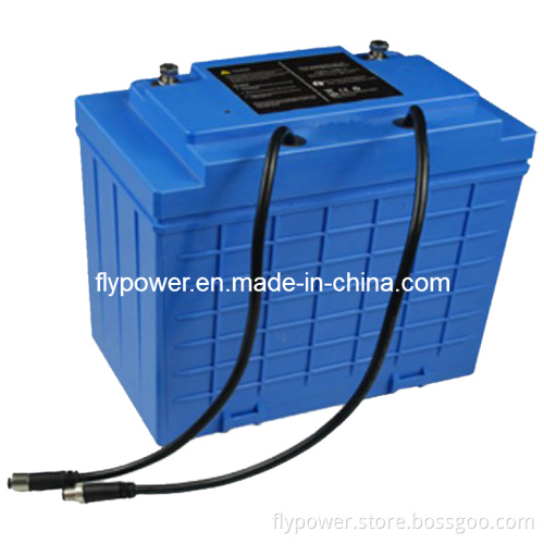 12.8V 110ah LiFePO4 Battery Module Pack (FlyPower Model FLFP-121100E1)